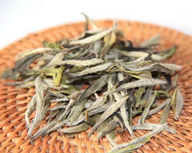 白牡丹茶 茶中珍品与陶瓷艺术的完美交融