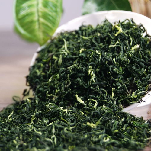 品味2019新茶之韵 明前碧螺春，清香与浓香的交融