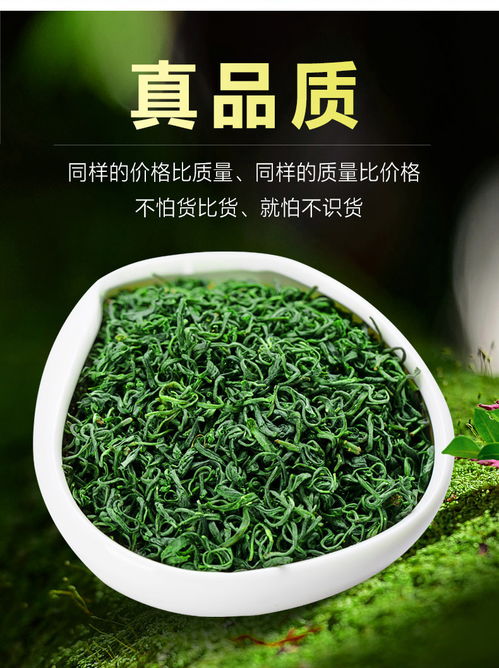 品味高山云雾间的春意盎然——2019新茶高山云雾炒青绿茶