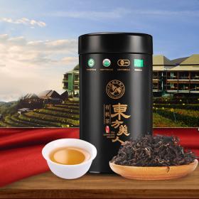 醉品朴茶 陶瓷韵味与茶香的完美融合